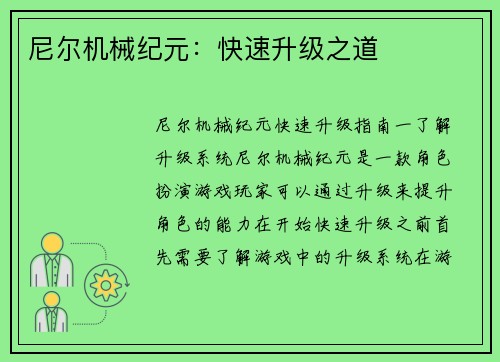 尼尔机械纪元：快速升级之道