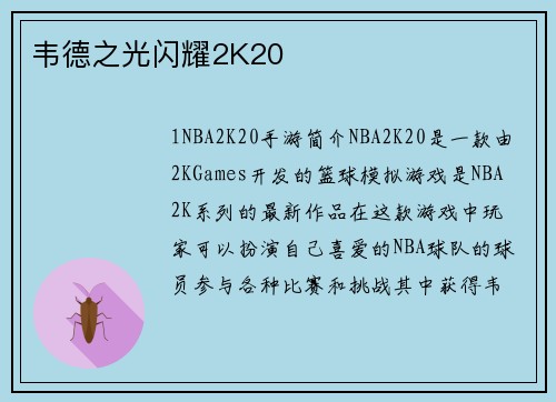 韦德之光闪耀2K20