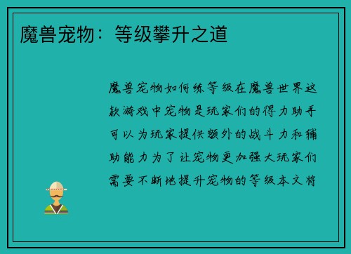 魔兽宠物：等级攀升之道