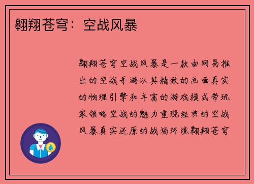 翱翔苍穹：空战风暴